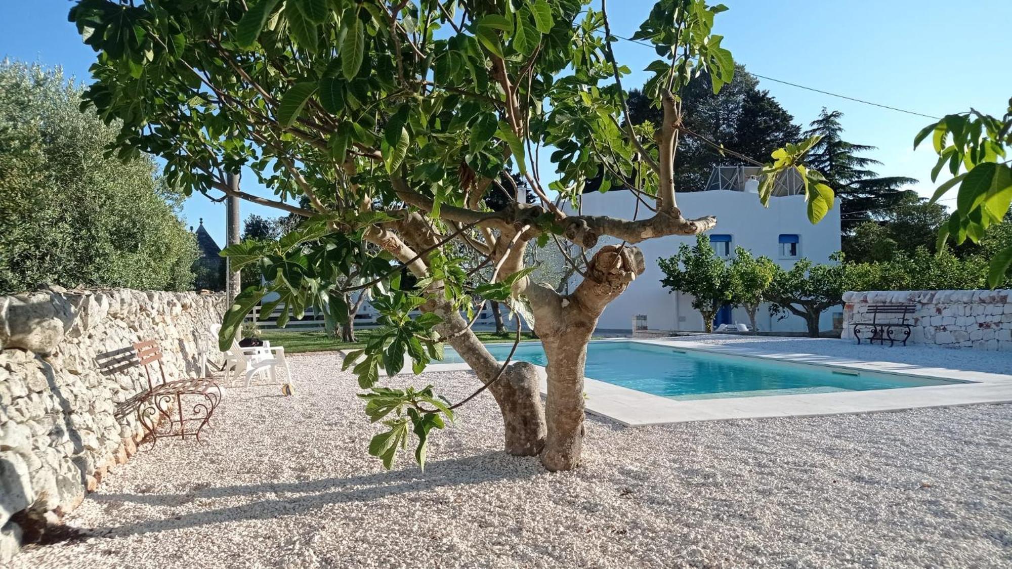 Casa Vacanze Villa Greca Martina Franca Extérieur photo